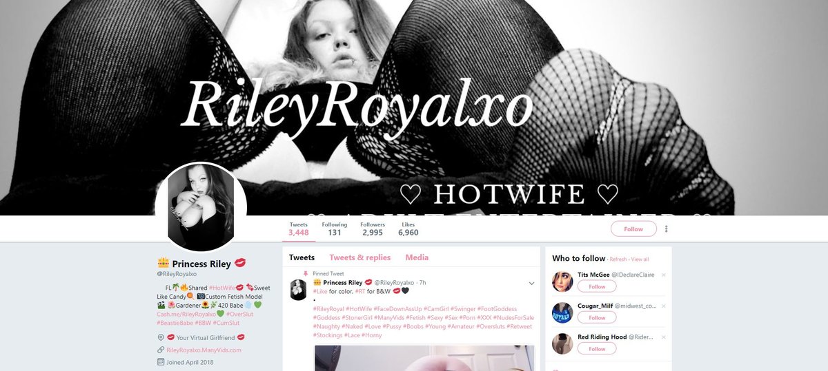 A good twitter profile for a cam girl